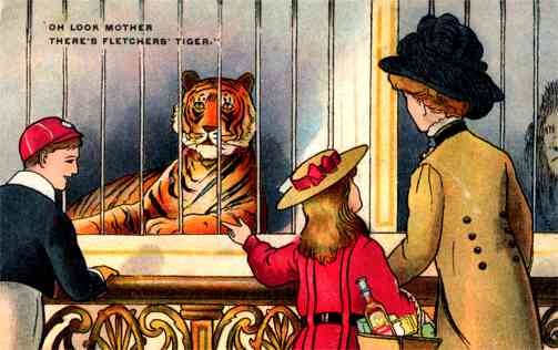 Tiger in Cage Zoo Family Advert