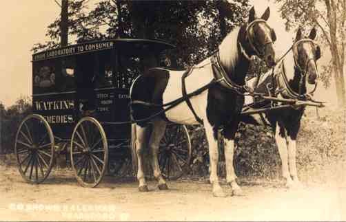 VT Horse-Drawn Watkins Remedies Wagon RP