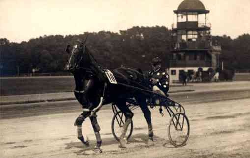 Harness Racer Real Photo