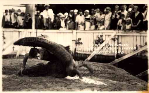 Alligator Wrestling FL Pirates Cove RP