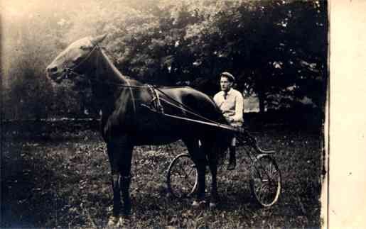 Harness Racer Under Tree Real Photo