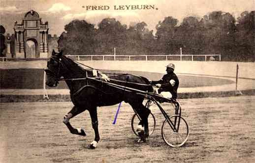 Harness Racer Leyburn in Italy, Faenza 1911