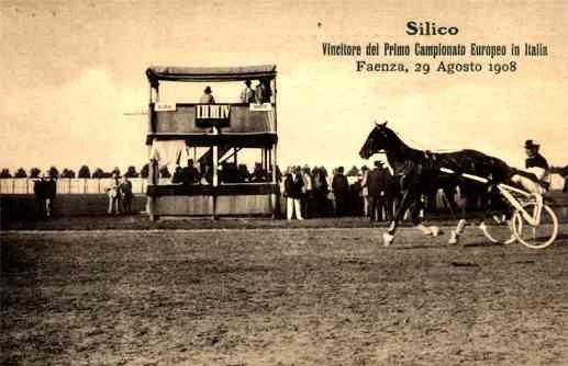 Harness Race Champion Italy Faenza 1908