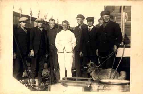 Viking Ship Roald Amundsen Real Photo