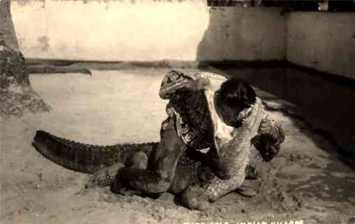 Seminole Indian Alligator's Wrestler RP FL