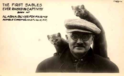 Sables on Shoulders of Farmer of Alaska RP