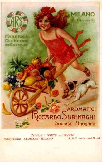 Advert Oil Cart Rose Dog Italian