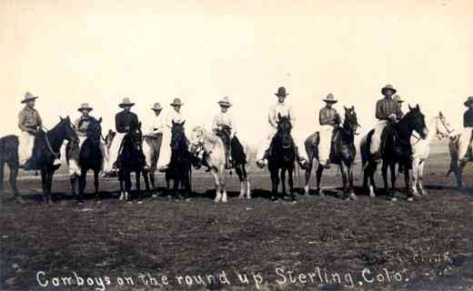 Cowboys Horses Real Photo CO