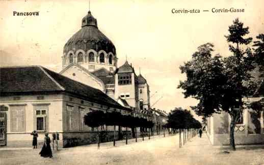 Hungry Pancsova Synagogue