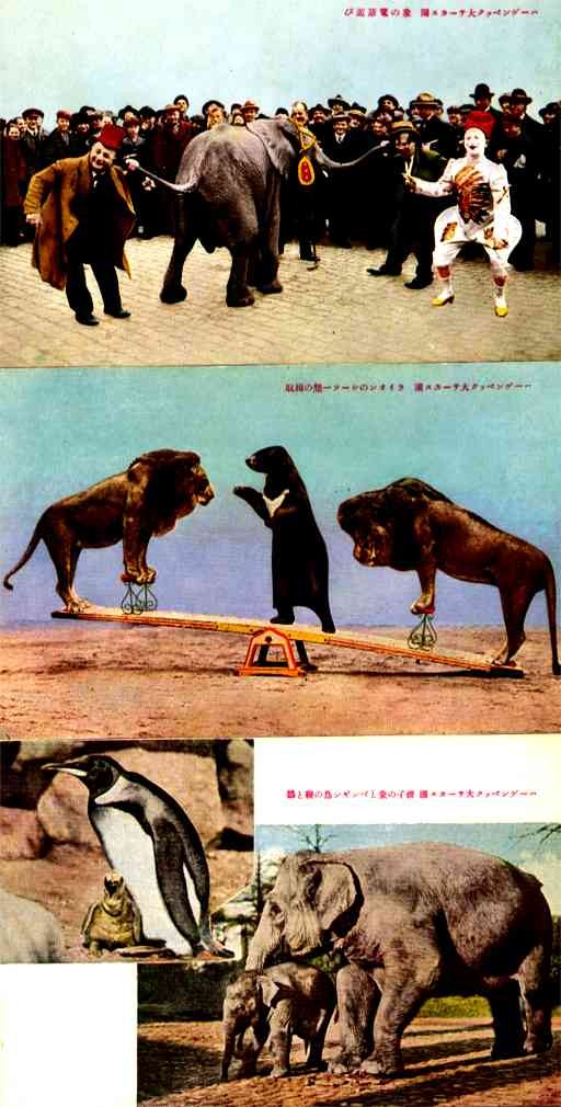 Circus Elephant Lions Japan Set