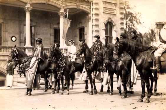 Hawaiian Princess Horse Real Photo