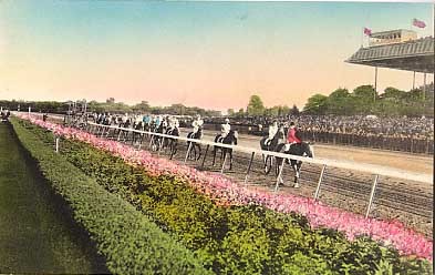 Horse Race Belmont Park Long Island
