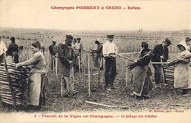 Champaigne Pommery Greno French