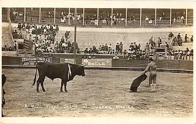 Bull Fight Real Photo