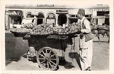 Vegetables Seller India Horse Real Photo