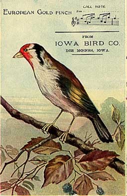 Iowa Bird Co. Advertising Sheet Music