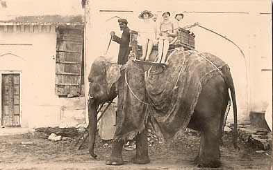 Elephant Cohen India Circus RP