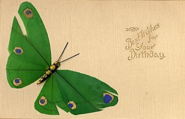 Novelty Greeting Butterfly