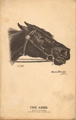 Harness Racing Horse Abbe