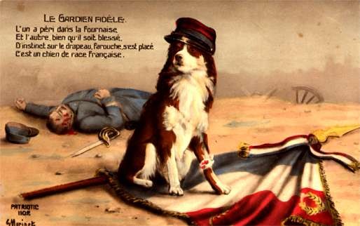 Dog Wounded Flag Real Photo