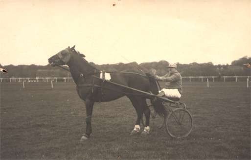 Harness Racer Ready to Race Real Photo