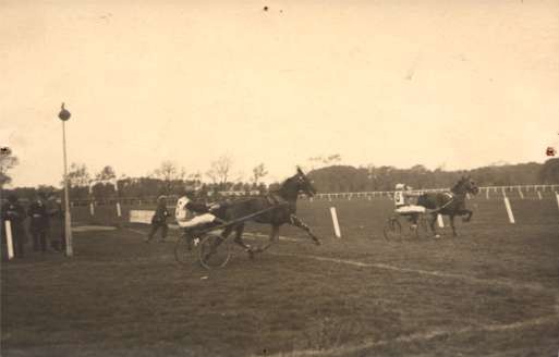 Harness Racers Real Photo