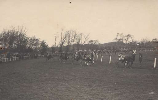 Harness Racers in Field Real Photo