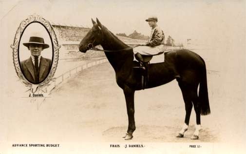 Jockey Horse Real Photo Advert