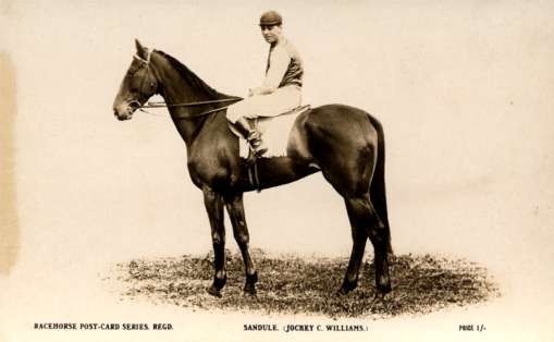 Jockey Looking Forward Horse Real Photo