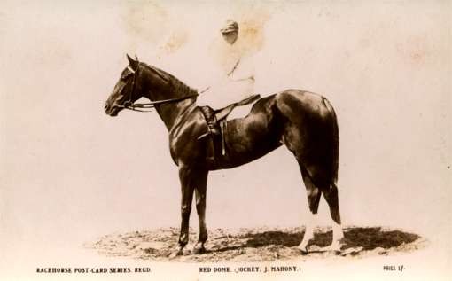 Jockey on Horse Red Dome Real Photo