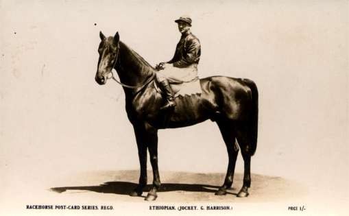 Jockey on Horse Real Photo