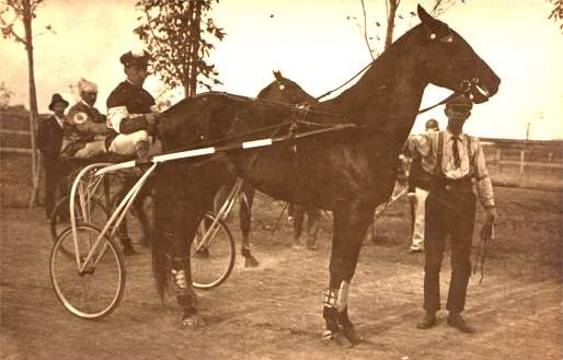 Harness Racers Real Photo