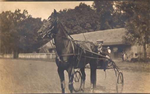 Harness Racer Real Photo