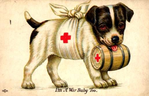 Red Cross Dog Puppy with Barrell