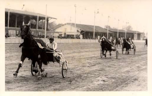 Harness Racers at Race Track Real Photo