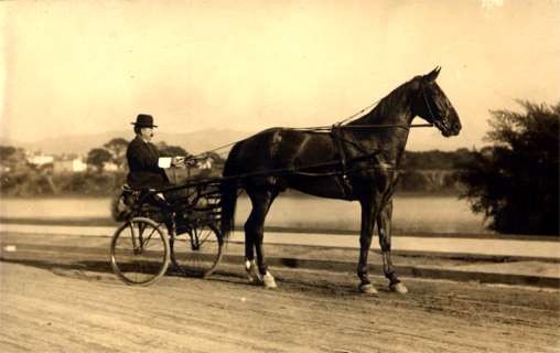 Harness Racer on Road Real Photo