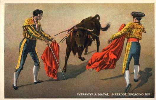 Bull Matadors Bullfighting