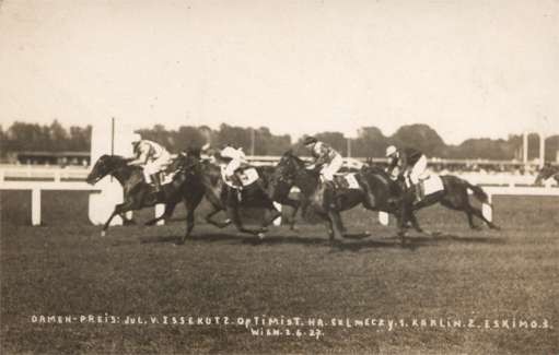 Racing Horses Real Photo