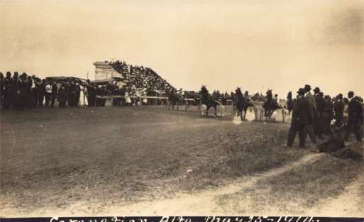 Harness Horse Race Real Photo