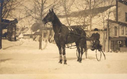 Harness Racer in Snow Winter Real Photo