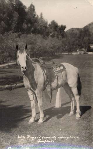 Will Roger's Horse Real Photo