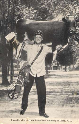 Mailman Lifting Cow New Hampshire