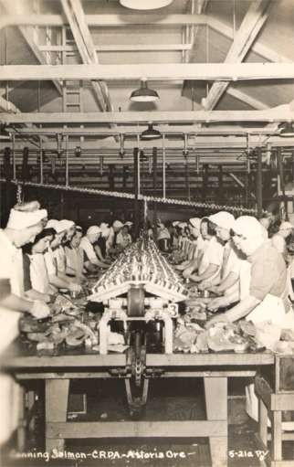 Salmon Canning Workers Real Photo