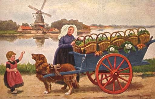 Child Dog-Drawn Cart with Baskets Wind Mill