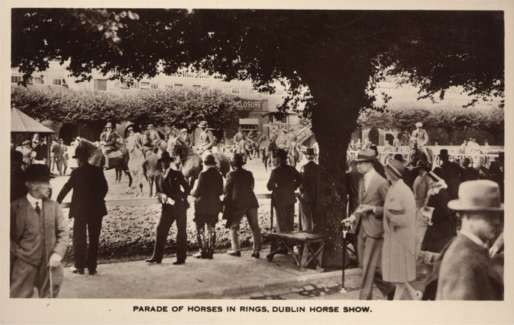 Parade of Horses at Dublin Horse Show Real Photo