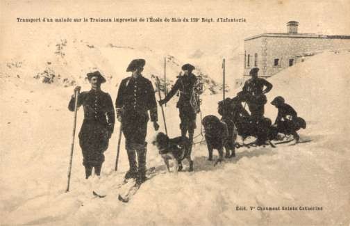 Dog-Drawn Sled Militay on Ski Red Cross