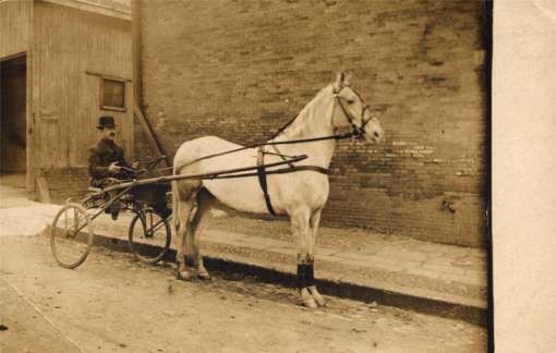 Harness Racer by Wall Real Photo