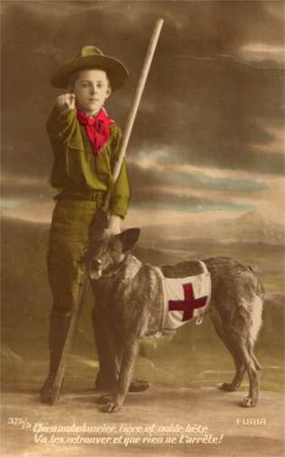 Boy Scout Red Cross Dog Tinted Real Photo