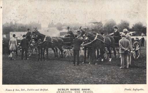 Dublin Horse Show Awarding Prizes Horses