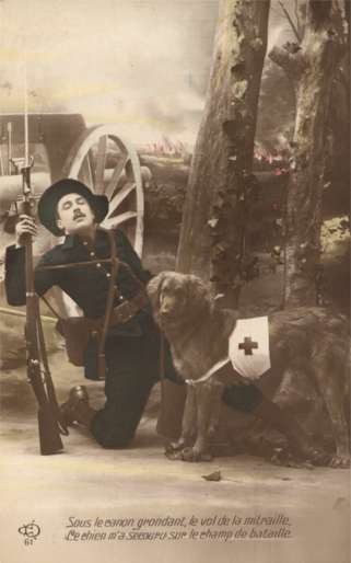 Red Cross Dog Wounded with Rifle Tinted Real Photo